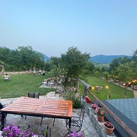 Vila Disha Tirana Exteriér fotografie