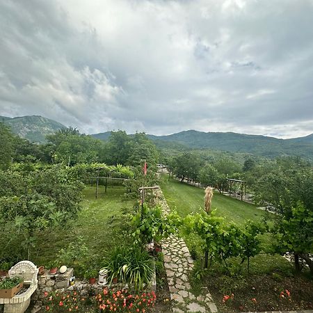 Vila Disha Tirana Exteriér fotografie