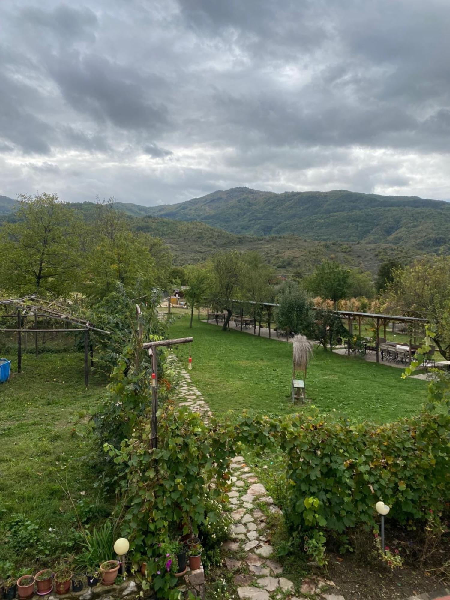 Vila Disha Tirana Exteriér fotografie
