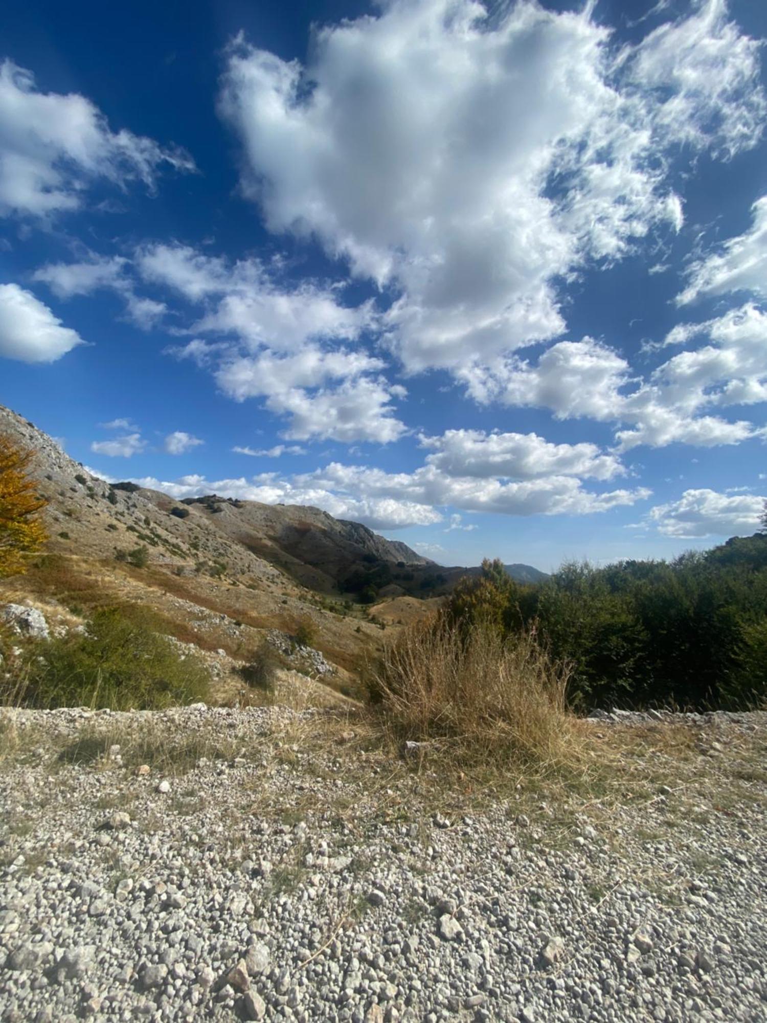 Vila Disha Tirana Exteriér fotografie