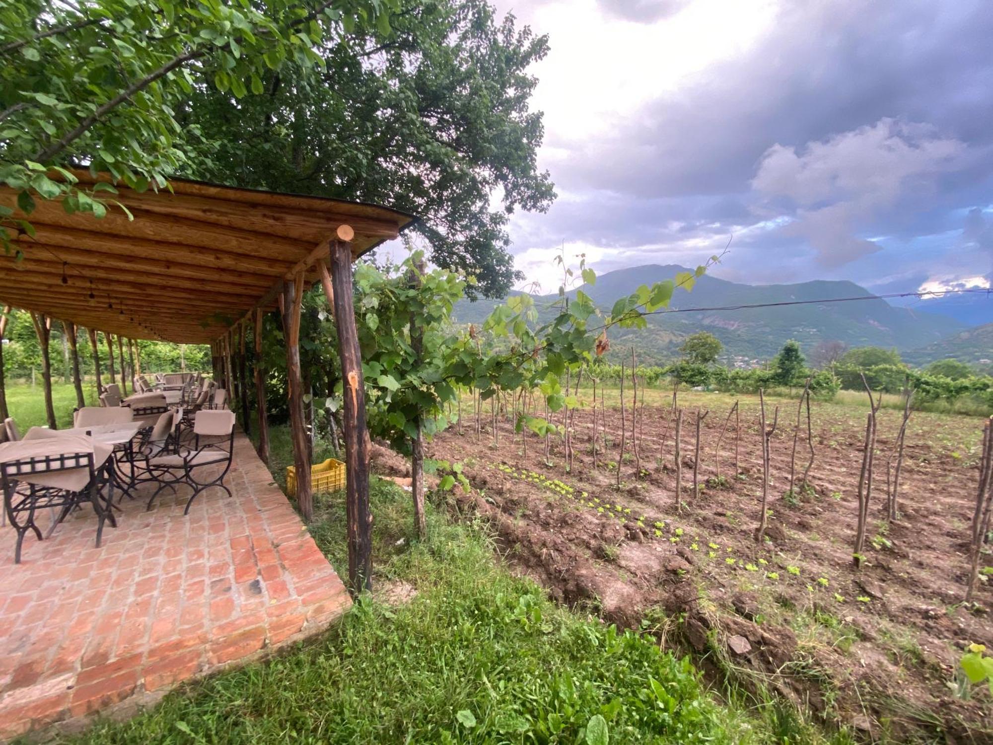 Vila Disha Tirana Exteriér fotografie