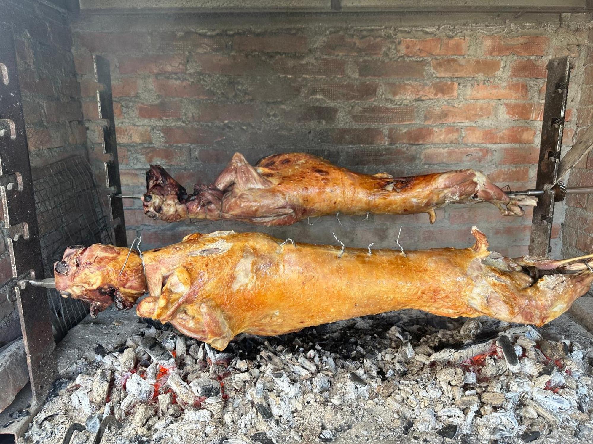 Vila Disha Tirana Exteriér fotografie