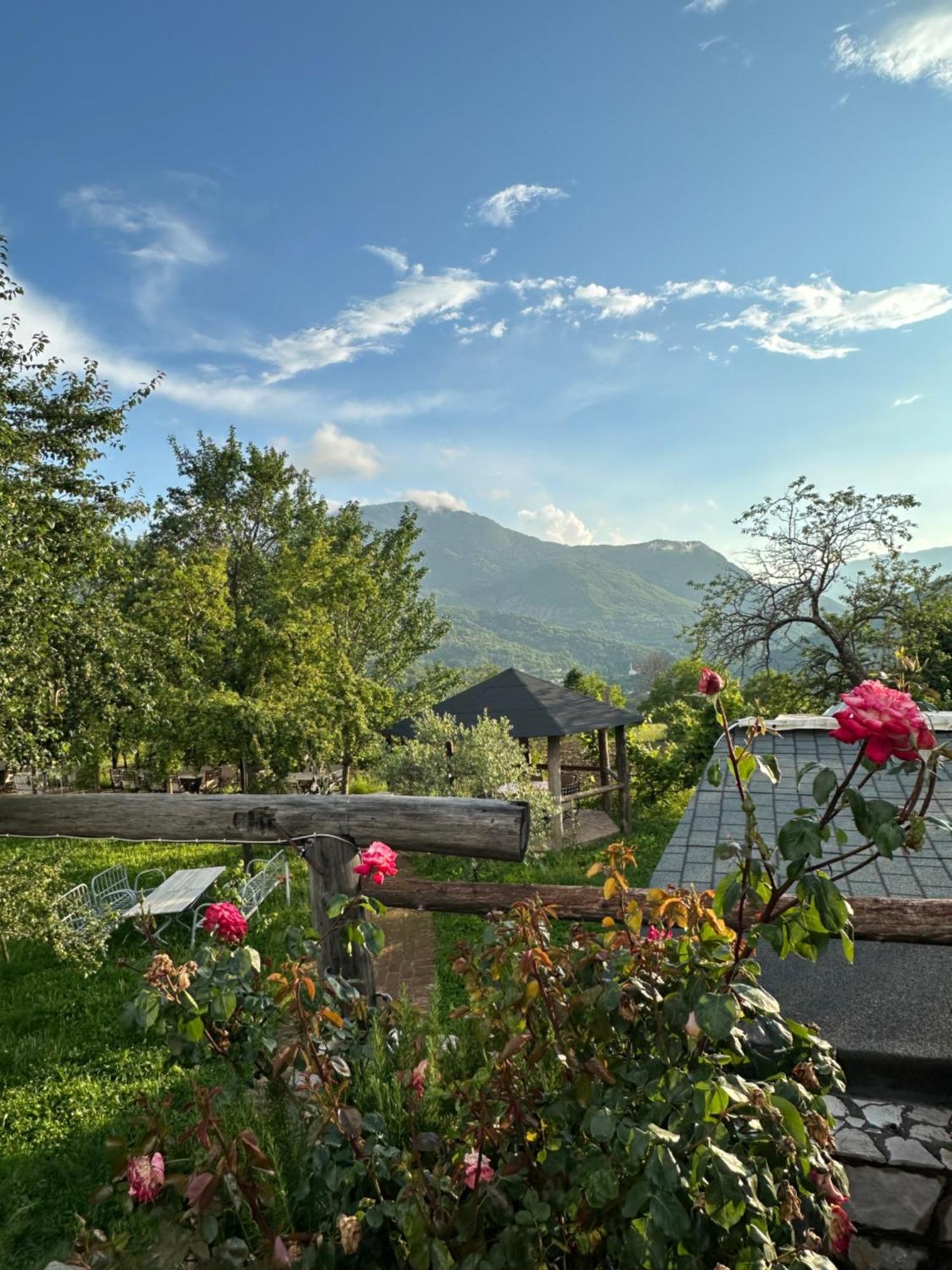 Vila Disha Tirana Exteriér fotografie