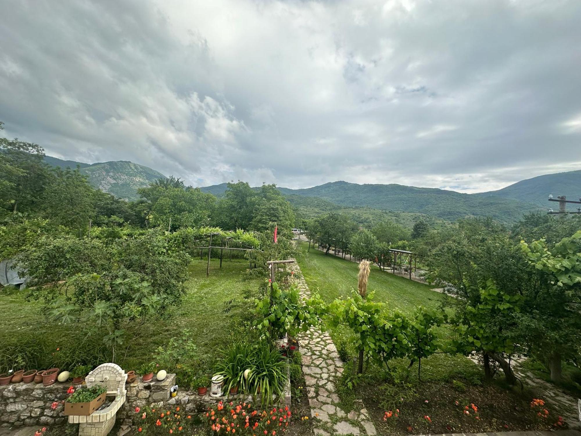 Vila Disha Tirana Exteriér fotografie