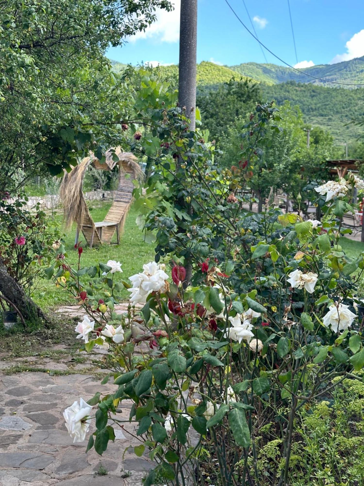 Vila Disha Tirana Exteriér fotografie