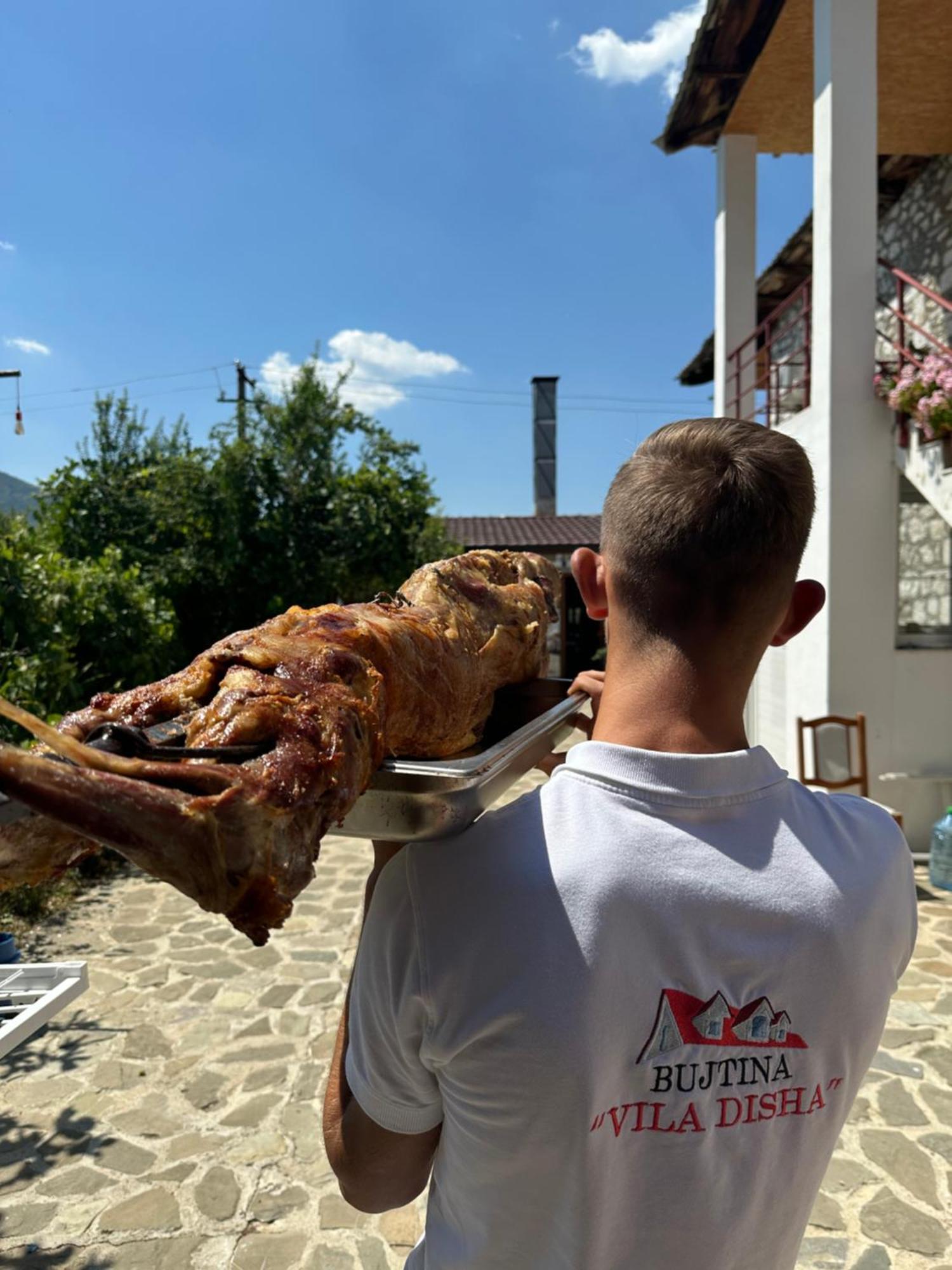 Vila Disha Tirana Exteriér fotografie