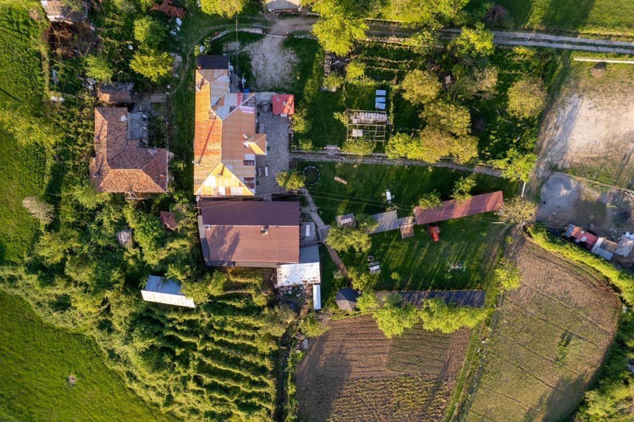 Vila Disha Tirana Exteriér fotografie