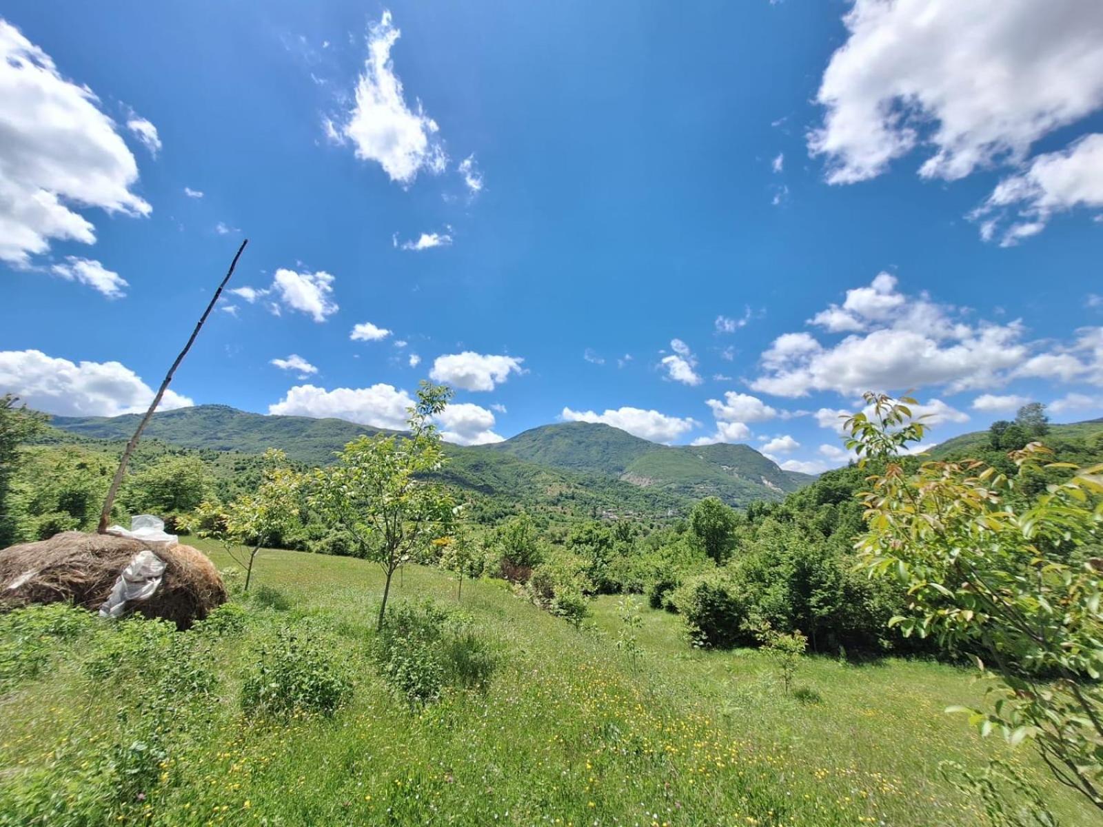 Vila Disha Tirana Exteriér fotografie