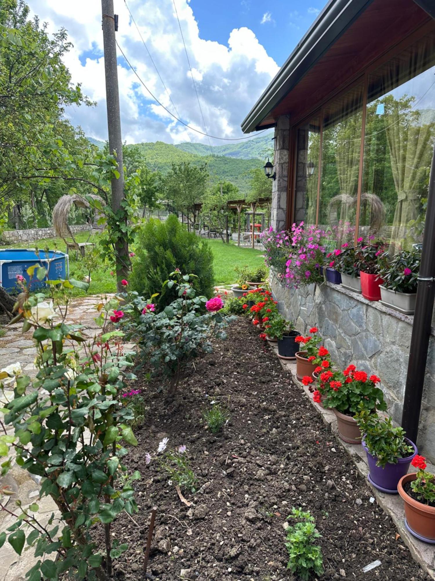 Vila Disha Tirana Exteriér fotografie